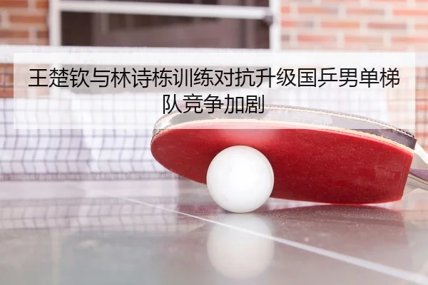 王楚钦与林诗栋训练对抗升级国乒男单梯队竞争加剧