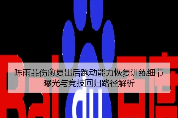 陈雨菲伤愈复出后跑动能力恢复训练细节曝光与竞技回归路径解析