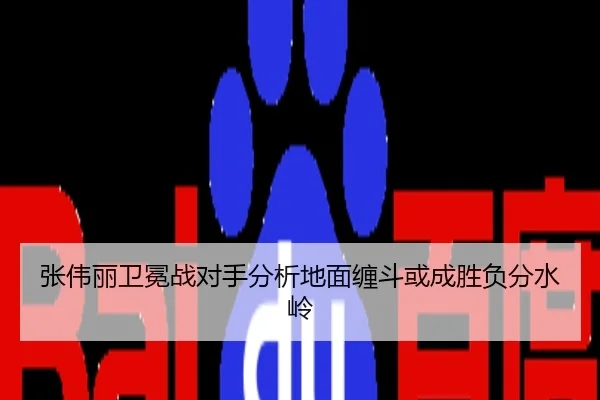 张伟丽卫冕战对手分析地面缠斗或成胜负分水岭