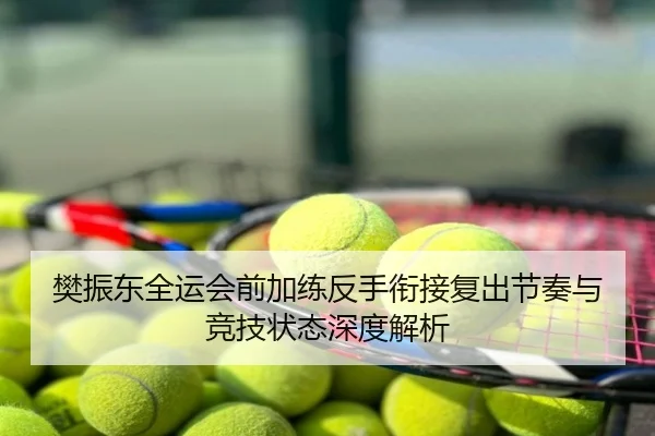 樊振东全运会前加练反手衔接复出节奏与竞技状态深度解析