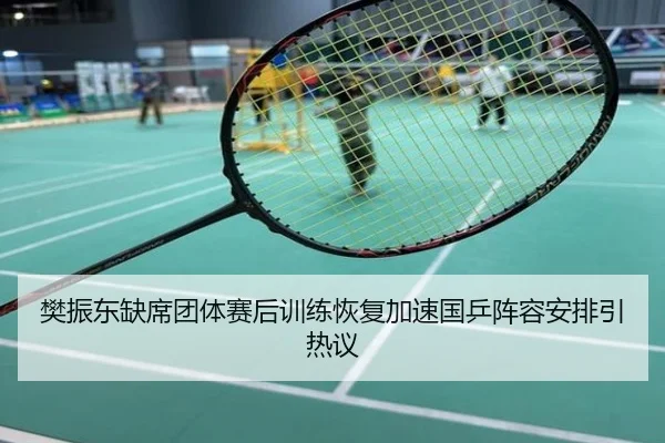 樊振东缺席团体赛后训练恢复加速国乒阵容安排引热议